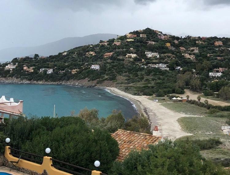 Villa Camelia トッレ・デッレ・ステッレ エクステリア 写真